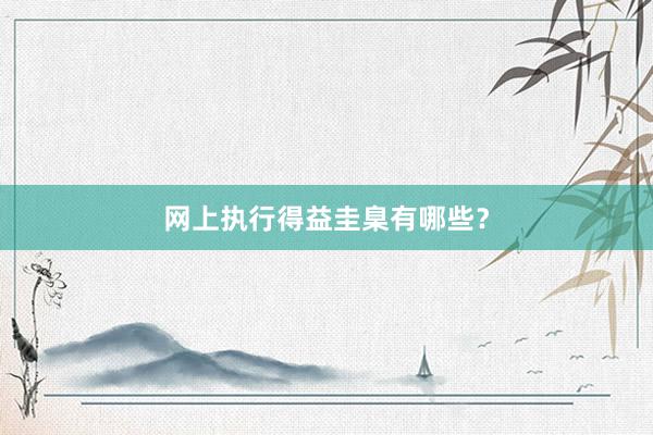 网上执行得益圭臬有哪些？
