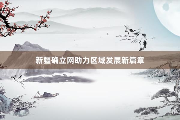 新疆确立网助力区域发展新篇章