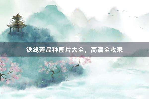 铁线莲品种图片大全，高清全收录