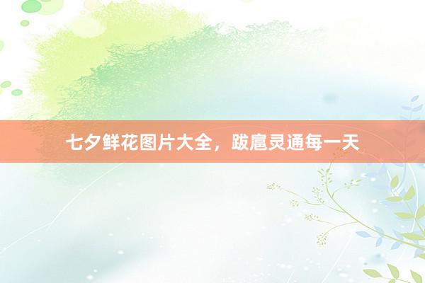 七夕鲜花图片大全，跋扈灵通每一天