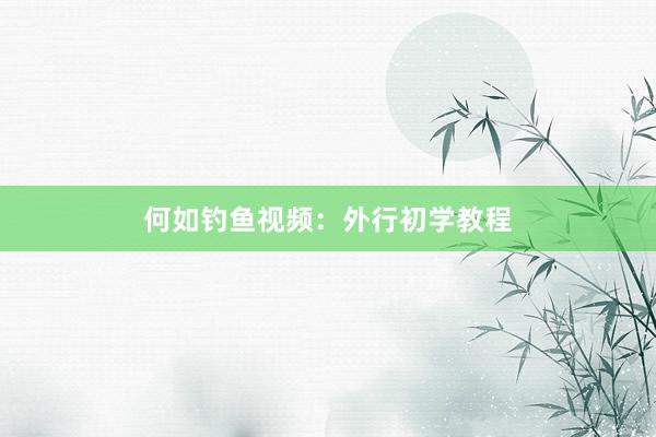 何如钓鱼视频：外行初学教程